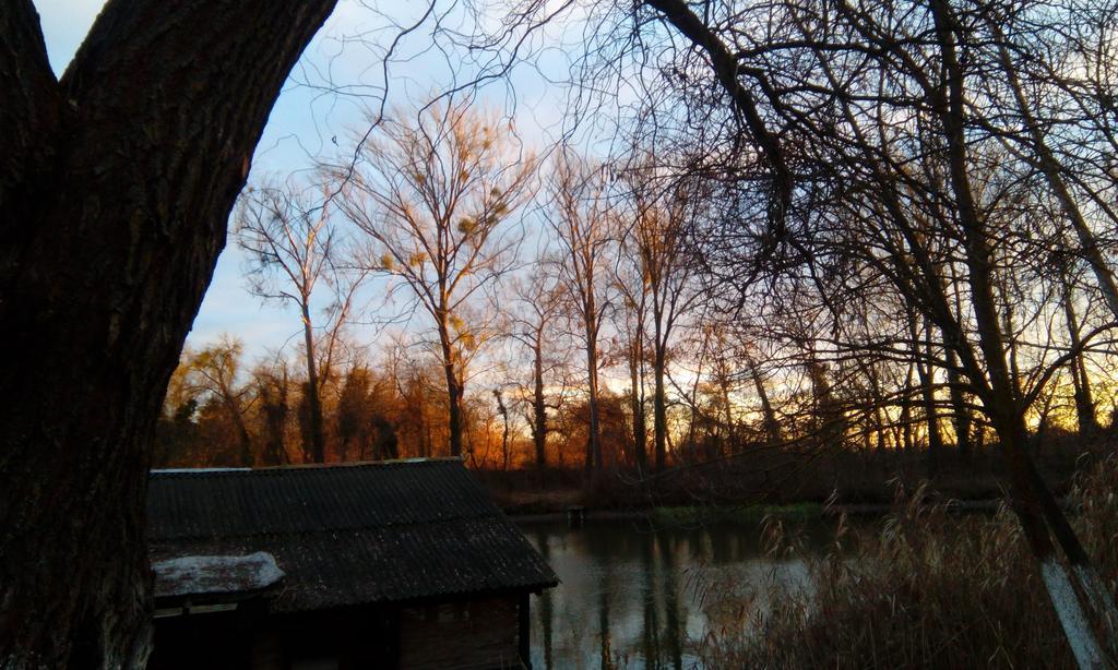 Chalets&Rooms Čarda Šebešfok Bezdan Buitenkant foto